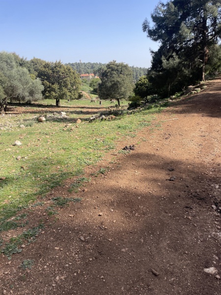 קובץ:2025-04-03T15 37 00.085492918215.jpg