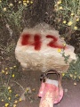 תמונה ממוזערת לגרסה מתאריך 18:59, 3 באפריל 2025