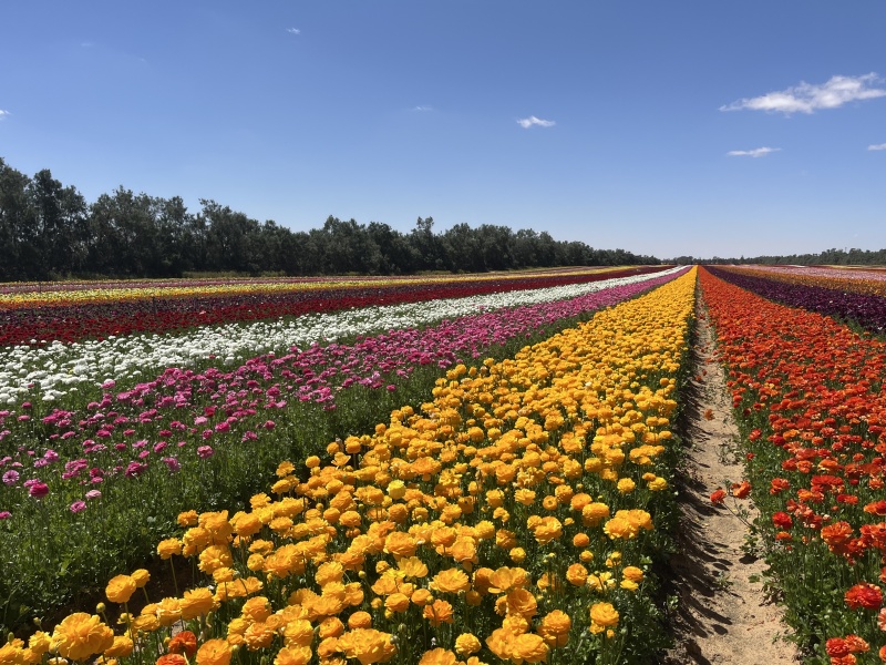קובץ:2025-04-05T12 10 47.740833861891.jpg