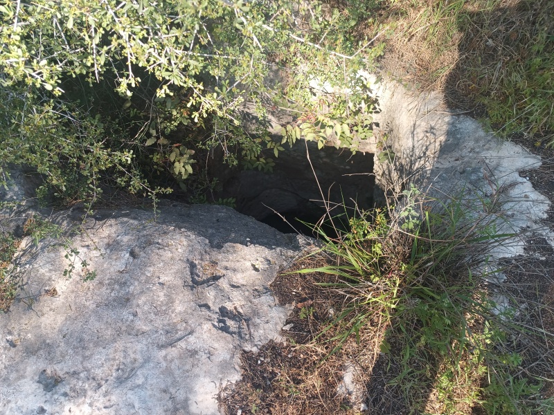 קובץ:2025-04-05T16 16 12.270007138786.jpg