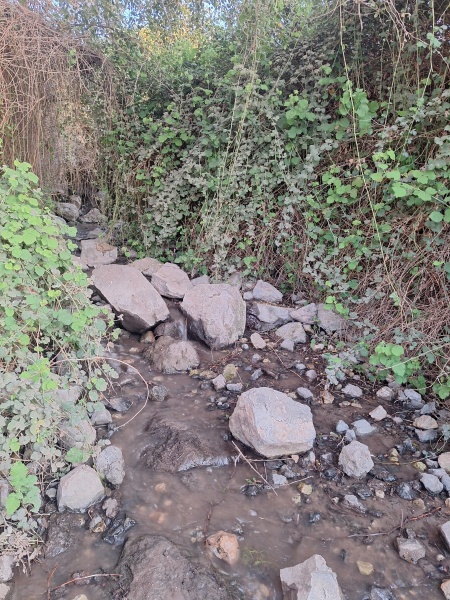 קובץ:2025-04-05T18 49 13.765557904794.jpg