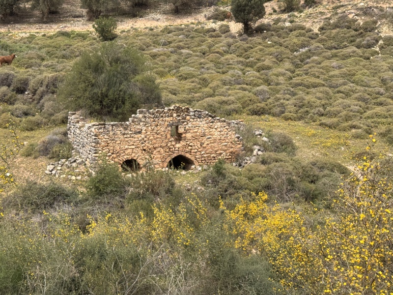 קובץ:2025-04-06T12 39 03.873696981404.jpg