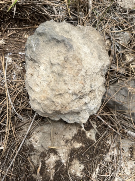 קובץ:2025-04-07T13 09 42.861745553074.jpg