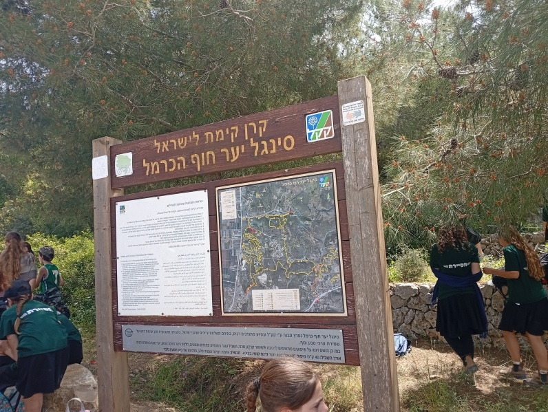 קובץ:2025-04-07T13 30 59.95313470689.jpg