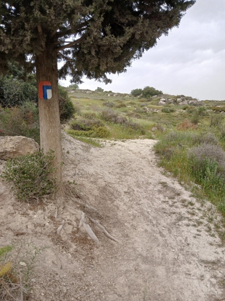 קובץ:2025-04-08T15 33 29.235251852103.jpg