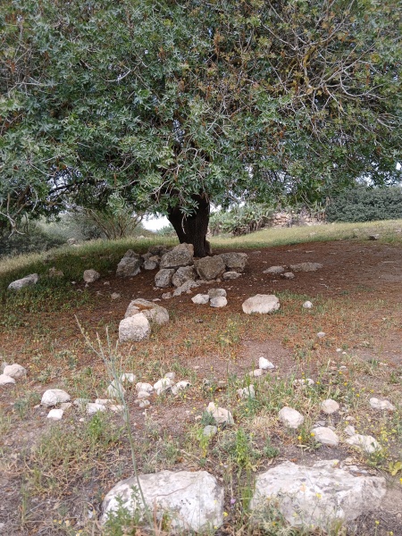 קובץ:2025-04-09T11 07 57.298497484313.jpg