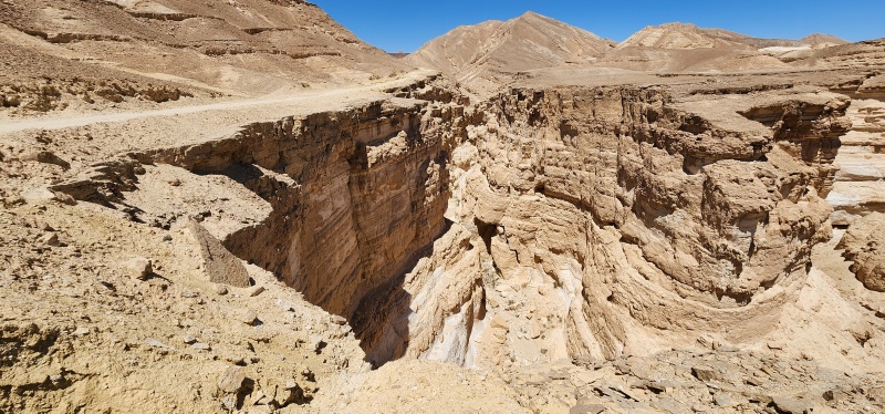 קובץ:2025-04-12T13 02 01.437574971566.jpg