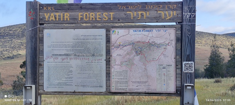 קובץ:2025-04-14T11 47 29.027275425853.jpg
