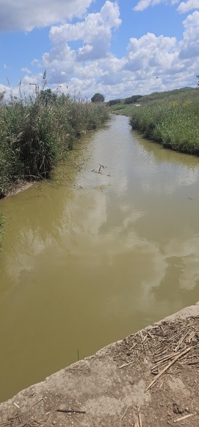 קובץ:2025-04-14T13 52 12.228701750922.jpg