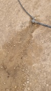 2025-04-14T14 09 01.5830523493.jpg