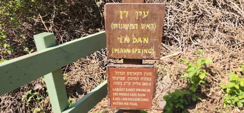 קובץ:2025-04-14T14 49 21.066966296309.jpg
