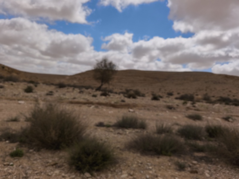 קובץ:2025-04-15T10 45 42.622685544148.jpg