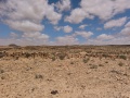 תמונה ממוזערת לגרסה מתאריך 08:56, 21 באפריל 2025