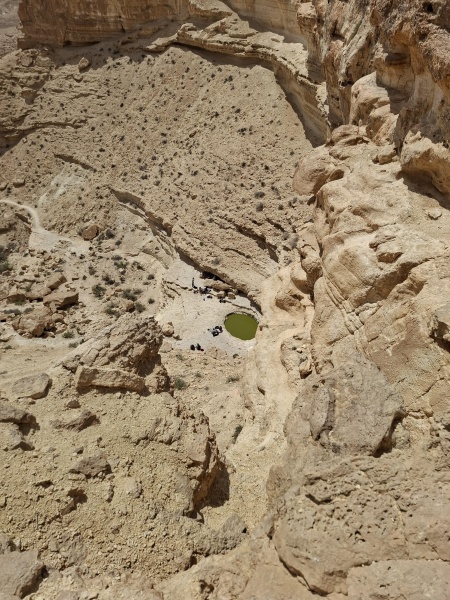 קובץ:2025-04-15T14 14 06.930662863560.jpg