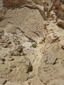 תמונה ממוזערת לגרסה מתאריך 06:19, 17 באפריל 2025