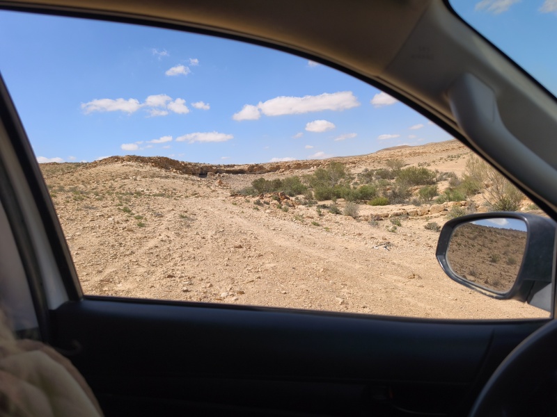 קובץ:2025-04-15T14 45 30.458357248070.jpg