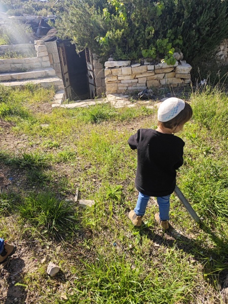 קובץ:2025-04-15T16 11 51.451316611643.jpg