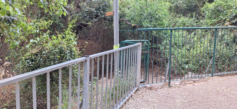 קובץ:2025-04-15T16 16 03.861438786601.jpg