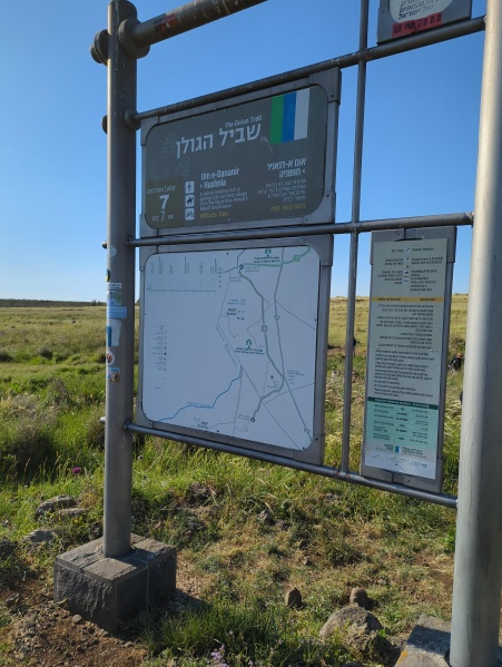קובץ:2025-04-15T16 54 51.098772531747.jpg