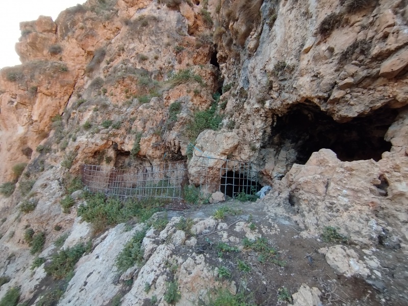 קובץ:2025-04-15T18 13 41.959634760171.jpg