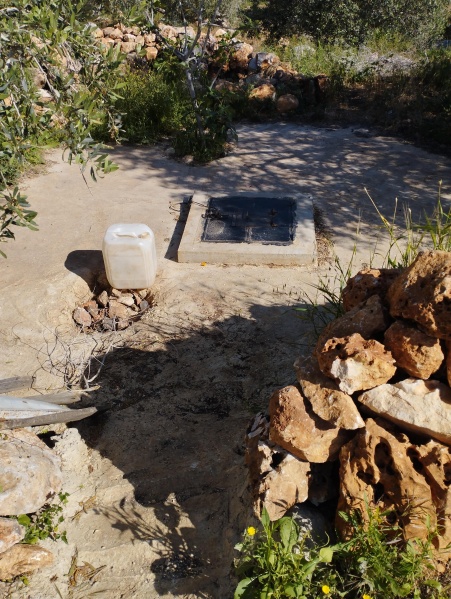 קובץ:2025-04-16T09 09 22.038276728115.jpg