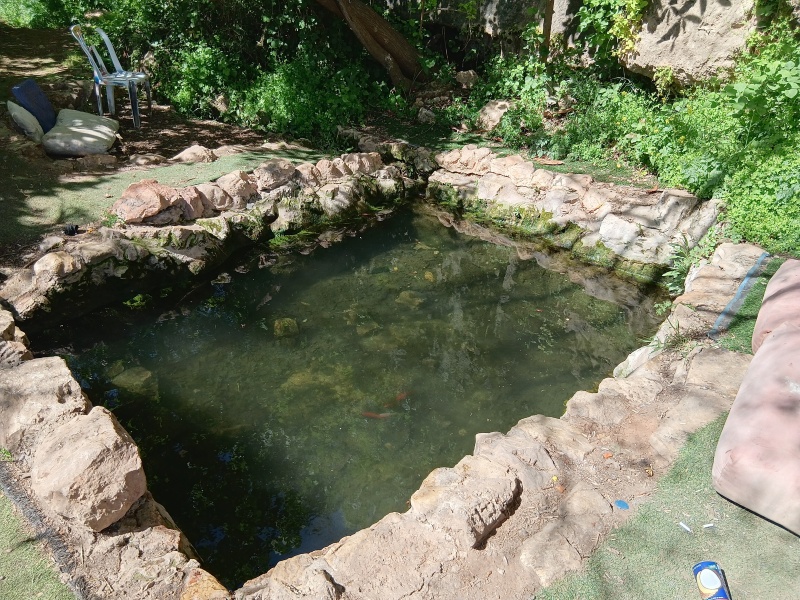 קובץ:2025-04-16T09 58 44.918298492304.jpg