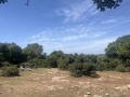 תמונה ממוזערת לגרסה מתאריך 09:53, 16 באפריל 2025