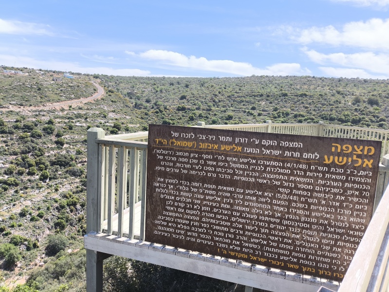 קובץ:2025-04-16T13 44 20.969774325142.jpg