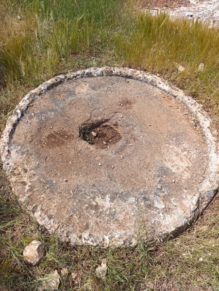 קובץ:2025-04-16T14 31 23.674551222861.jpg