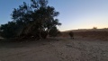 תמונה ממוזערת לגרסה מתאריך 15:51, 16 באפריל 2025