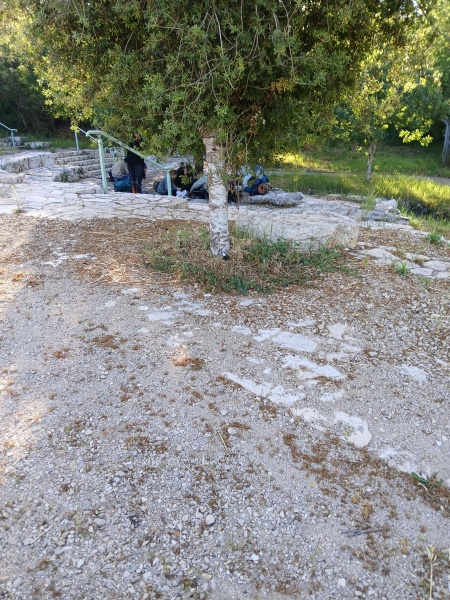 קובץ:2025-04-17T07 44 21.189783746771.jpg