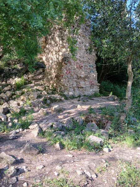 קובץ:2025-04-17T08 26 04.791160624054.jpg