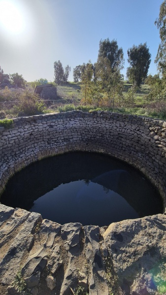 קובץ:2025-04-17T09 02 22.941439891862.jpg