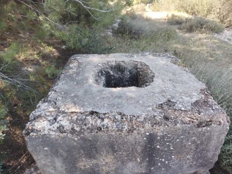 קובץ:2025-04-17T09 04 54.93926037557.jpg