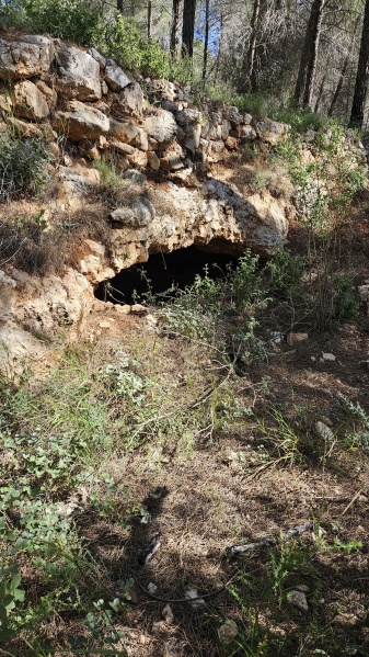 קובץ:2025-04-17T09 21 10.538903644454.jpg