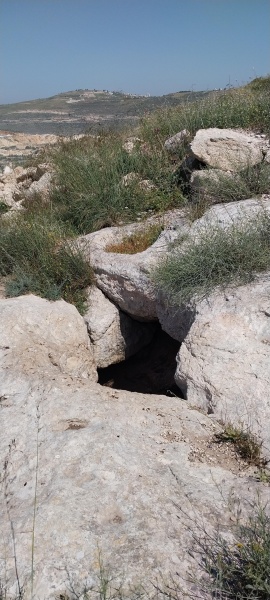 קובץ:2025-04-17T10 37 14.723954268617.jpg