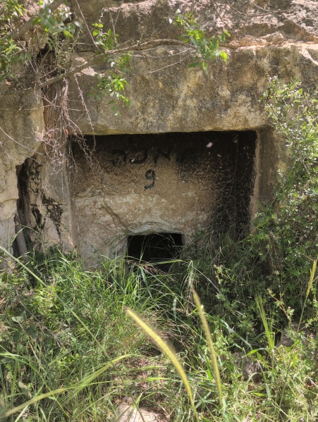 קובץ:2025-04-17T11 08 35.224147662052.jpg