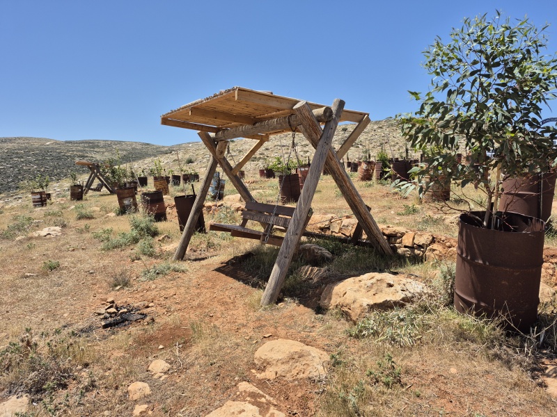 קובץ:2025-04-17T12 34 56.733554108895.jpg