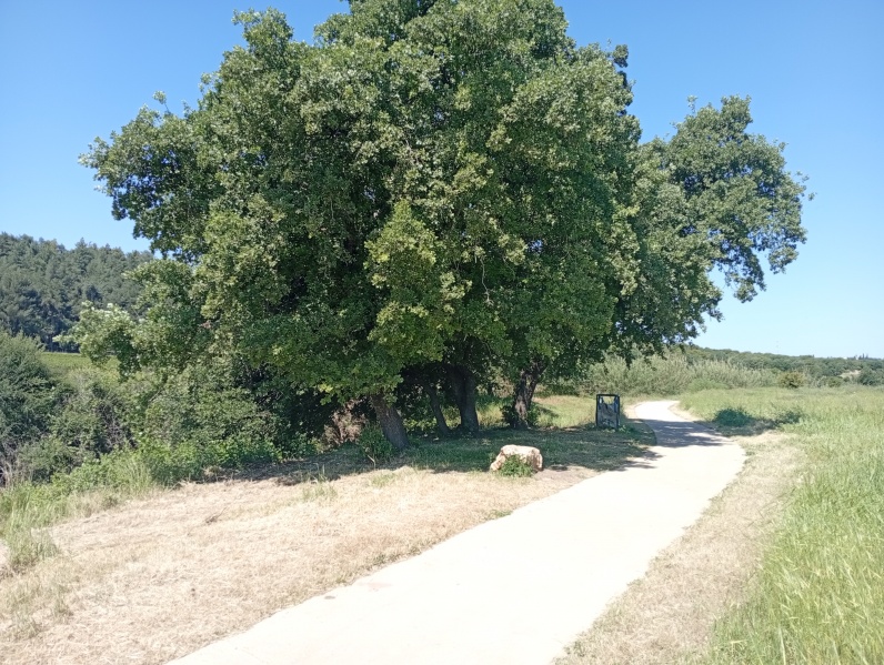 קובץ:2025-04-18T10 51 54.268597646406.jpg