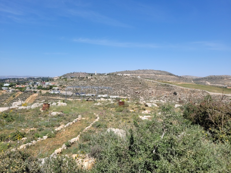 קובץ:2025-04-18T13 51 19.475424104009.jpg