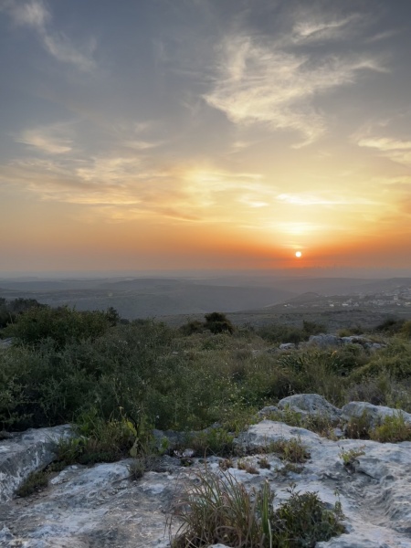 קובץ:2025-04-18T14 50 26.046211597085.jpg