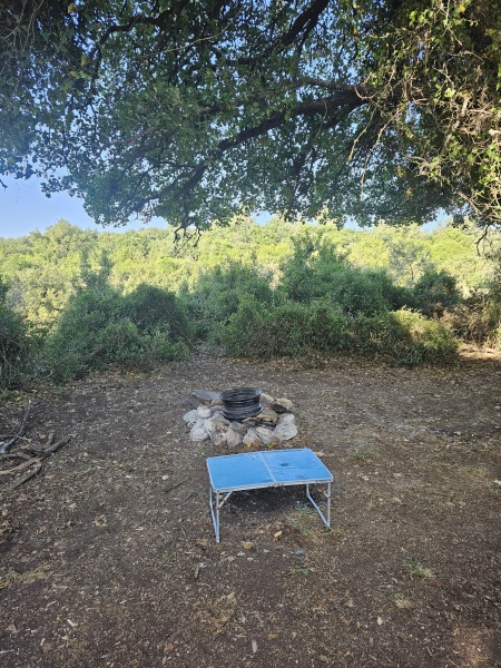 קובץ:2025-04-19T08 15 05.651478287215.jpg