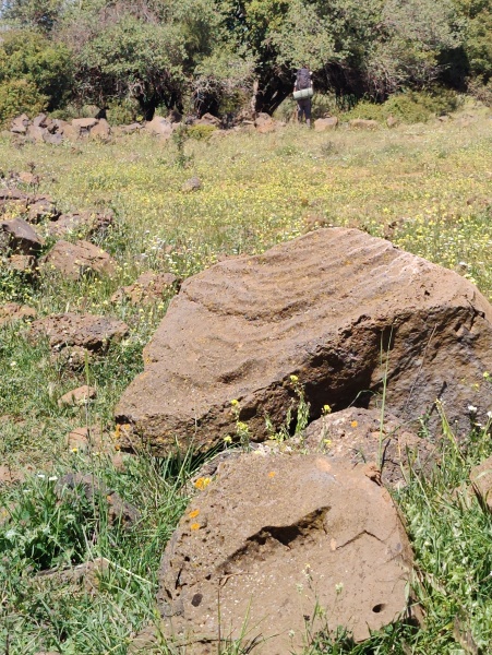 קובץ:2025-04-19T13 56 48.028382852048.jpg