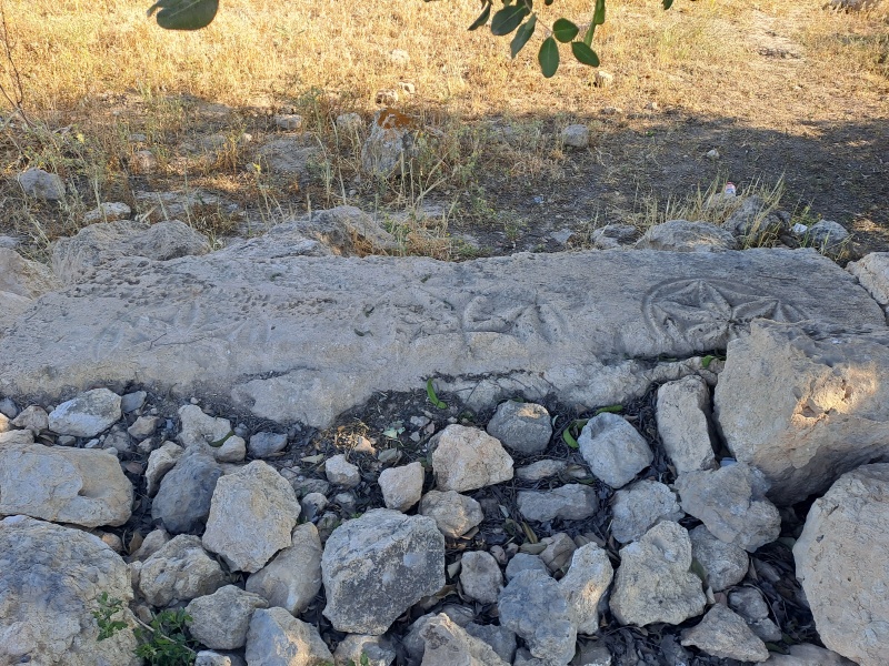 קובץ:2025-04-19T17 06 03.773742538918.jpg