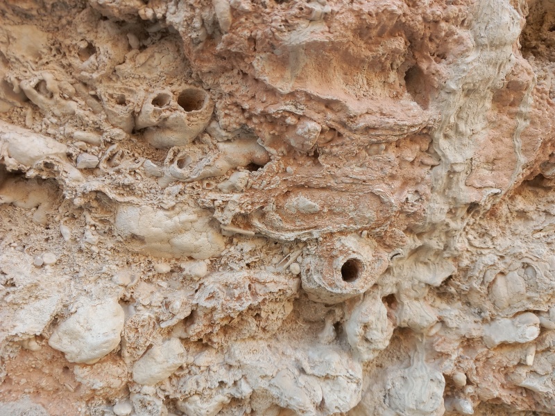 קובץ:2025-04-19T18 04 42.236292788122.jpg