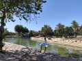 תמונה ממוזערת לגרסה מתאריך 12:04, 20 באפריל 2025