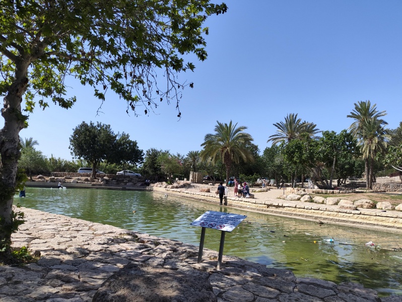 קובץ:2025-04-20T15 23 41.111994522873.jpg