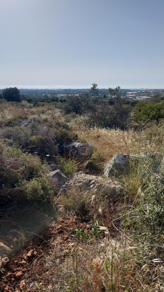 קובץ:2025-04-20T16 48 13.033774857112.jpg