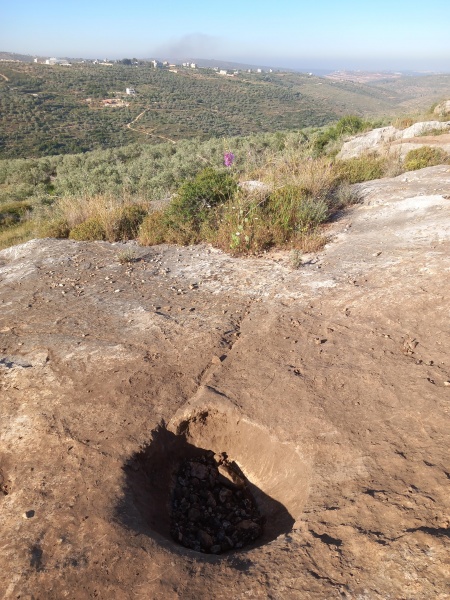 קובץ:2025-04-21T07 52 21.651437261860.jpg