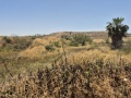 תמונה ממוזערת לגרסה מתאריך 10:01, 21 באפריל 2025